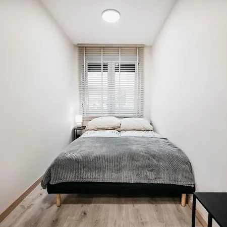 Nocosfera Premium Gornoslaski * Kalisz