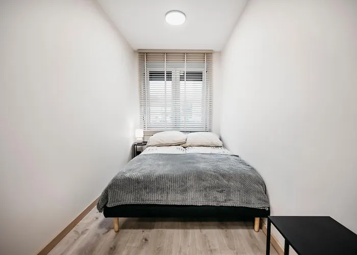 Nocosfera Premium Gornoslaski * Kalisz