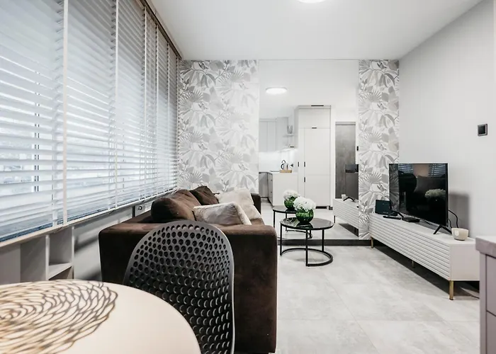 Apartment Nocosfera Premium Gornoslaski